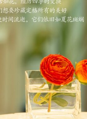 玻璃花瓶客厅插花北欧简约透明摆件水培鲜花干花水培玻璃器皿装饰