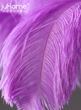 欧式简约轻奢鸵鸟羽毛落地灯台灯摆件创H意家居装饰品客厅落地摆