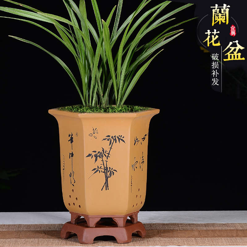 精品紫砂花盆兰花盆n带托盘墨兰君子兰盆中国风桌面阳台兰花专用 - 图1