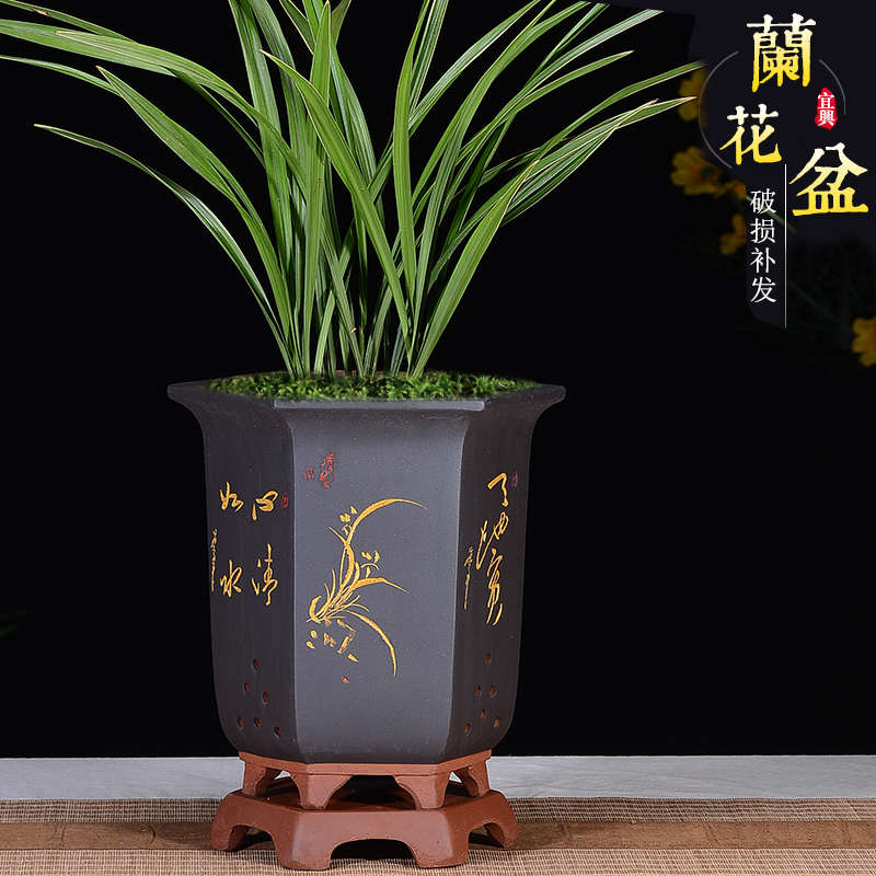 精品紫砂花盆兰花盆n带托盘墨兰君子兰盆中国风桌面阳台兰花专用 - 图0