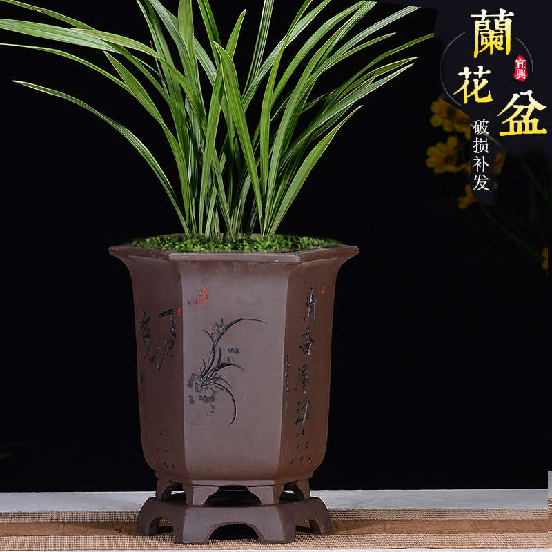 精品紫砂花盆兰花盆n带托盘墨兰君子兰盆中国风桌面阳台兰花专用 - 图2