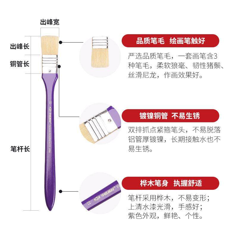 中盛画材多笔头狼毫尼龙油画丙烯水粉扇形笔手绘水彩画笔12支套装,淘宝优惠券,粉丝福利购,淘宝优惠卷