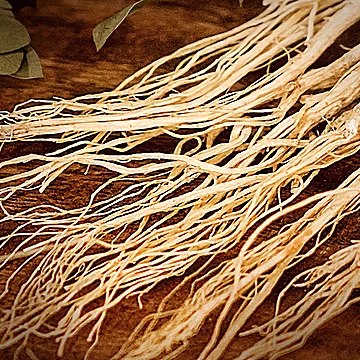 拍4件！长白山人参高档礼盒4盒[845元优惠券]-寻折猪