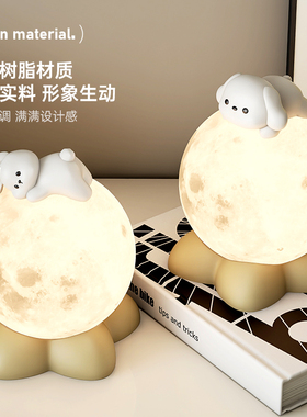 兔子床头台d灯氛围小夜灯睡眠可爱装饰品乔迁卧室摆件女生生日礼