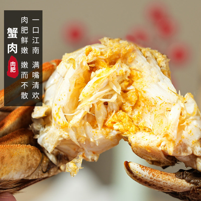 【特大蟹】10只现货大闸蟹鲜活螃蟹全母礼盒阳澄后荡湖官方旗河蟹,淘宝优惠券,粉丝福利购,淘宝优惠卷