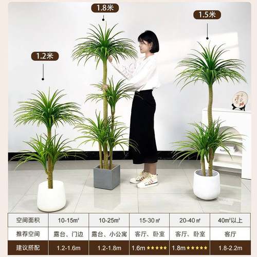 仿真绿植多头龙血树客厅室内大型轻奢仿生植物假盆栽沙发落地摆件 - 图2