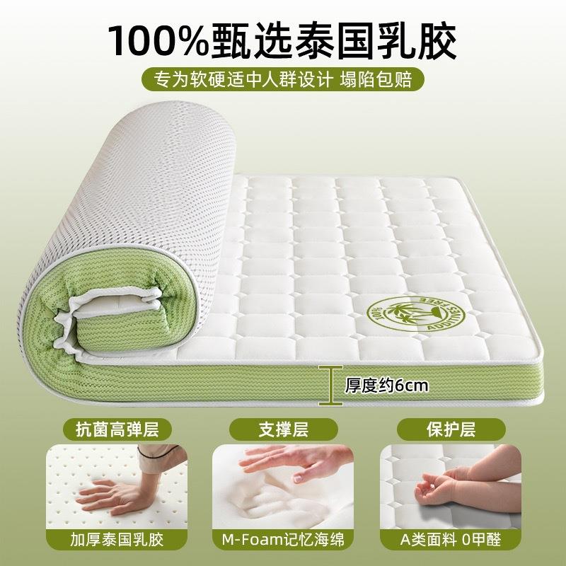 乳胶记忆棉床垫软垫家用卧室海绵租房专用学生宿舍单人榻榻米床垫 - 图0