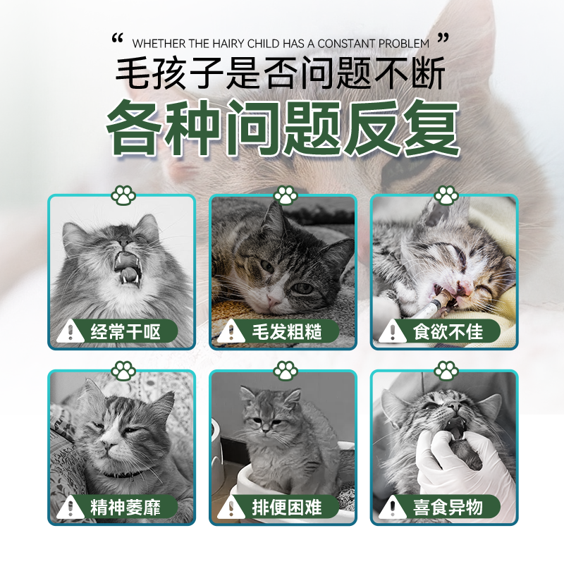 朗如猫咪专用化毛片！毛球轻松 “溜” 走！跟健康说你好~