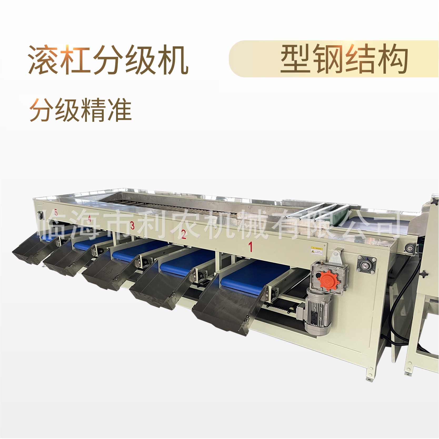 椰枣清洗分级机智能水果筛选机大枣分拣设备源头工厂效率高产量大,淘宝优惠券,粉丝福利购,淘宝优惠卷