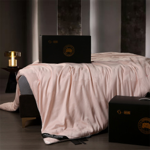 千里江山蚕丝被 加厚保暖 四季通用空调夏被