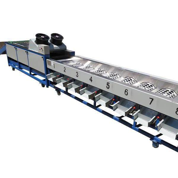 水果清洗设备果蔬浸泡池水洗分选机柑橘脐橙分级机,淘宝优惠券,粉丝福利购,淘宝优惠卷