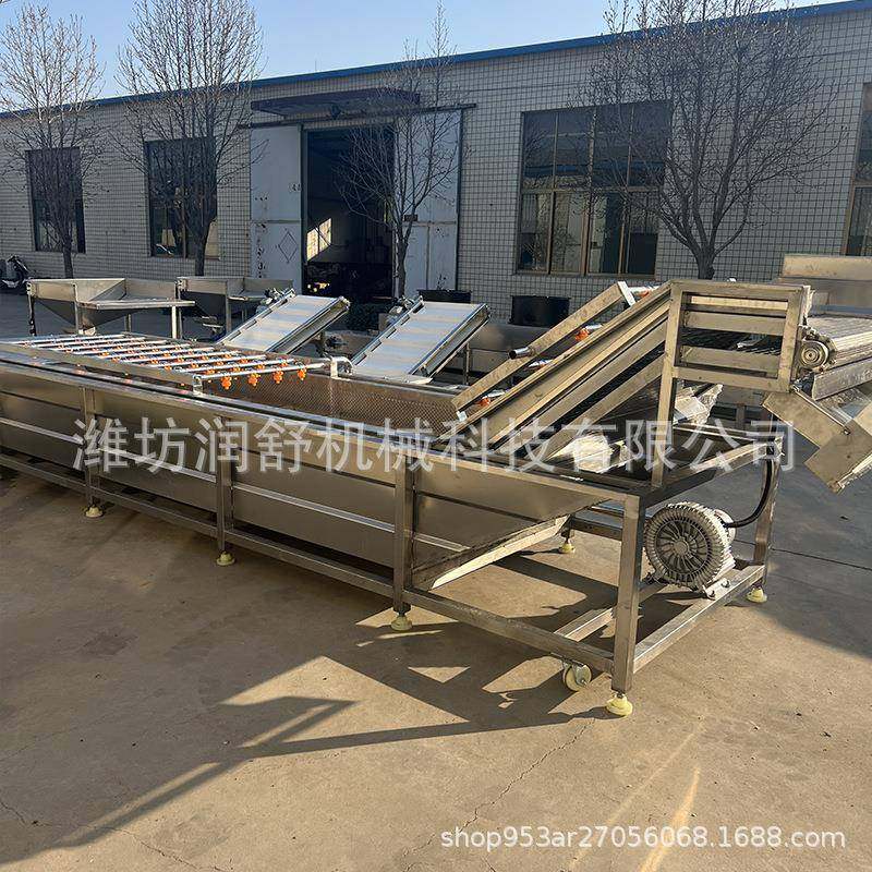 酸菜清洗脱盐设备大姜萝卜不锈钢清洗设备全自动果蔬气泡清洗机,淘宝优惠券,粉丝福利购,淘宝优惠卷