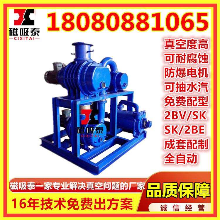JZJ2S1200-4.1真空机组ZJP1200-300罗茨增压泵2SK-12真空泵37KW - 图1