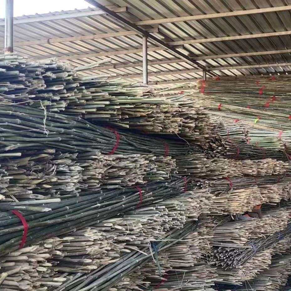 竹竿子菜园搭架豆角黄瓜番茄爬藤架篱笆围栏旗杆小竹竿瓜果细竹子,淘宝优惠券,粉丝福利购,淘宝优惠卷