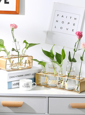 水培绿植摆件北欧铁艺玻璃花瓶植物摆饰办公室家U居房间插花装饰