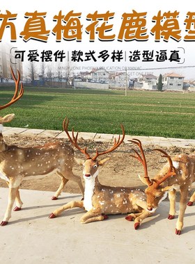 彷真梅花鹿模型耶诞鹿动物摆件麋鹿驯鹿橱窗展览教学S道具工艺礼