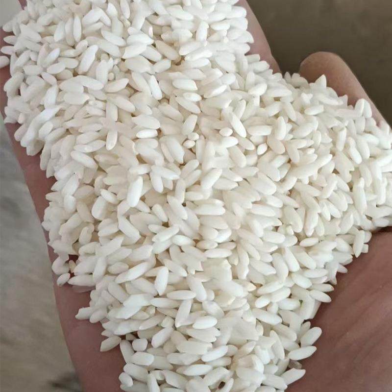 碾米机商用大型全自动多功能打米机湛江新款稻谷脱壳机水稻剥壳机,淘宝优惠券,粉丝福利购,淘宝优惠卷