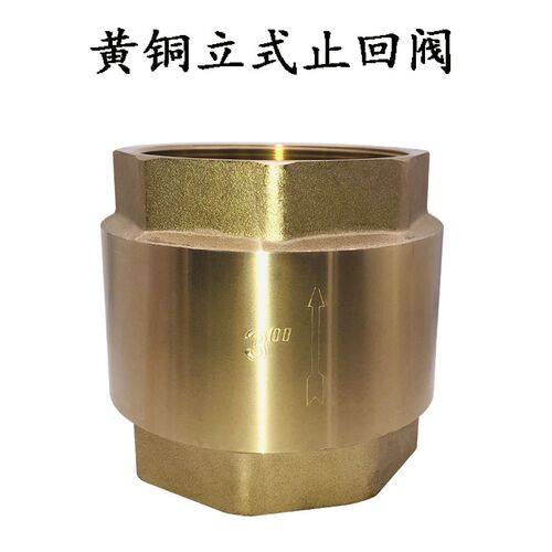 簧铜立式止回阀 弹簧单向阀止逆阀水泵阀2.5寸3寸DN65 80 - 图2
