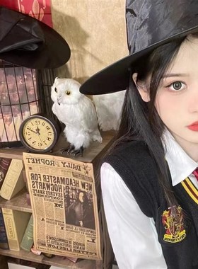 海石铁花艺装饰品脚架摄影道具铁艺鸟笼装饰橱窗道具摆设壁挂摆件