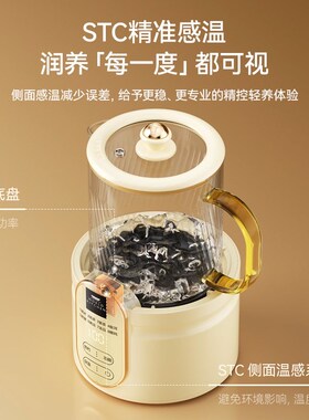 康宁迷你养生壶mini小型办公室一人全纯玻璃电炖杯X养生杯煮茶壶