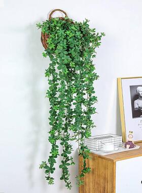 墙上饰房品大挂件WOW客厅间电视装墙面壁挂餐厅创意植物挂饰花盆