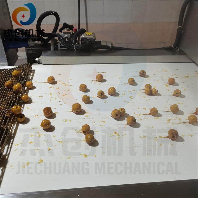 自动化冻干冬枣裹糖设备 冻干山楂裹糖机 嘎嘣脆糖葫芦浸糖设备,淘宝优惠券,粉丝福利购,淘宝优惠卷