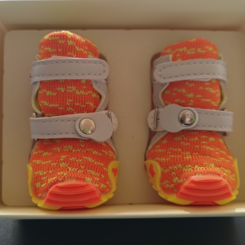 DJJ断码特价狗狗运动鞋针织面狗狗跑鞋，软面透气四季款狗鞋,淘宝优惠券,粉丝福利购,淘宝优惠卷