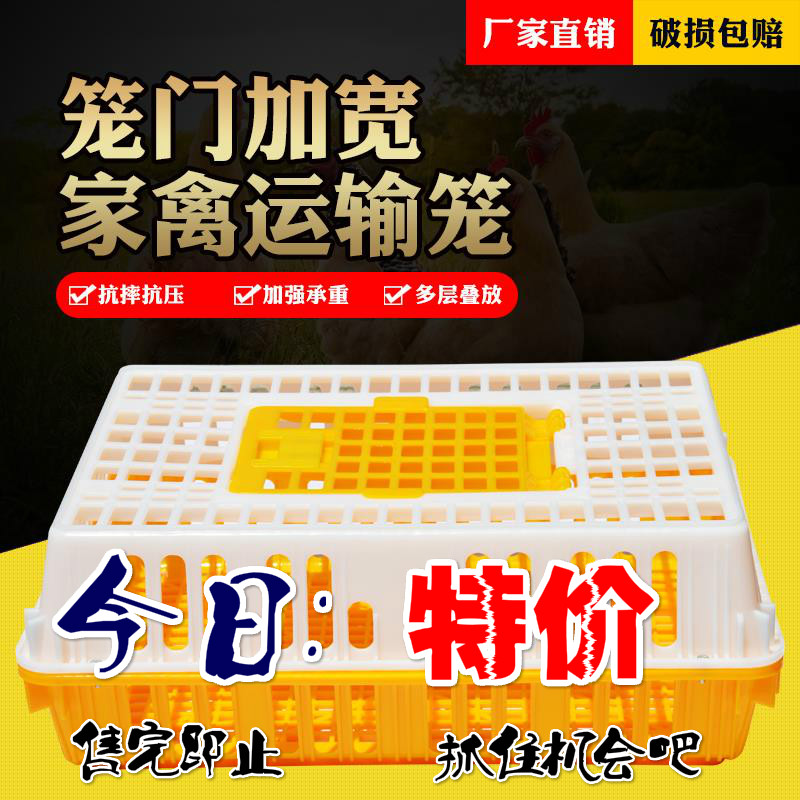 鸡笼运输笼塑料家禽周转箱筐成小鸡鸭鹅鸽子笼兔笼家用养殖鸡笼子 - 图0