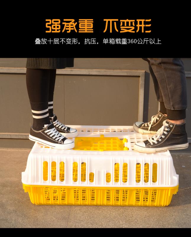 鸡笼运输笼塑料家禽周转箱筐成小鸡鸭鹅鸽子笼兔笼家用养殖鸡笼子 - 图3