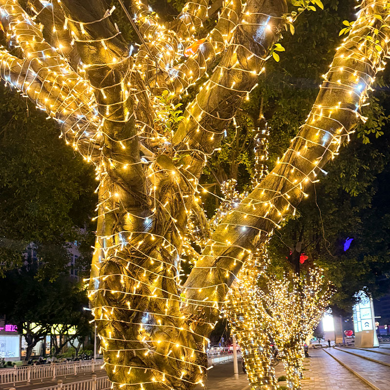 户外防水超亮加粗灌胶灯串闪灯串灯街道绕树亮化彩灯串led装饰灯 - 图0