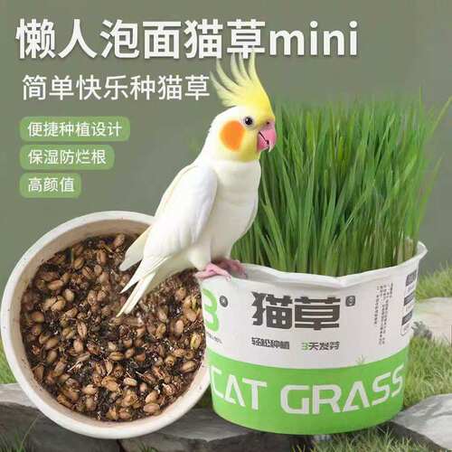 鹦鹉麦芽草粮大麦种子鹦鹉啃咬饲料鸟草盒零食促进消化解闷防啄毛 - 图2