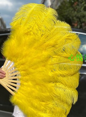 ZB6M大中号鸵鸟羽毛扇子肚皮舞蹈酒吧表演演唱会道具羽毛绒大