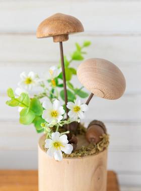 阿楹森系奶油造景蘑菇窗台绿植小摆件木自助餐台幼儿园工位装饰