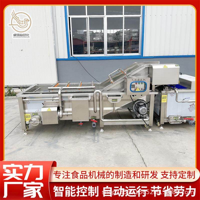 厂家直销多功能葡萄干清洗机大型韭菜清洗设备商用海带扣清洗机,淘宝优惠券,粉丝福利购,淘宝优惠卷