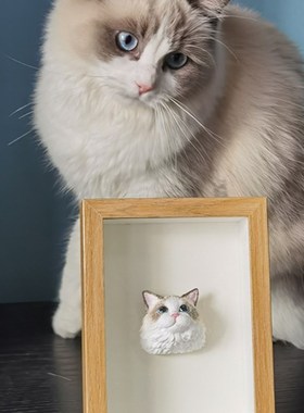 宠物猫咪定制室内家居相框摆件布偶英短美短加菲手绘宠物纪念饰品