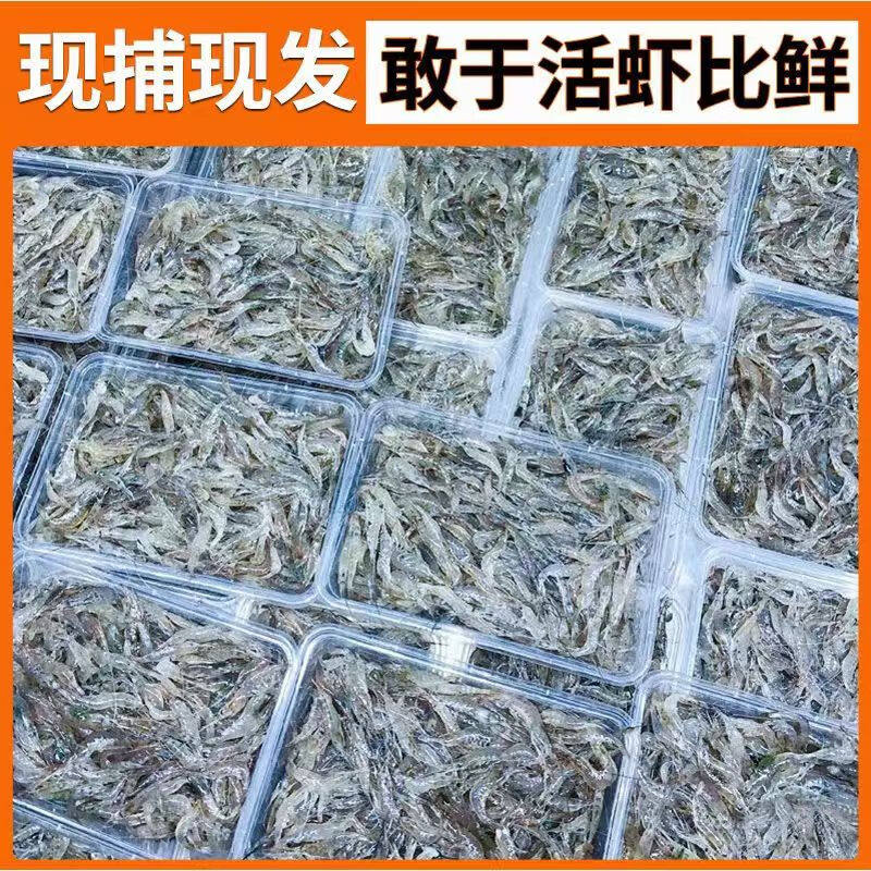 Fresh quick-frozen freshwater river shrimp commercial seafood aquatic products
