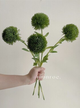 雀梅,绿石竹 仿真花卉绿色假花摆C设摆件装饰森系植物插花摄影道