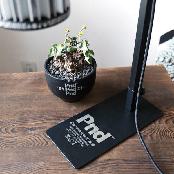 pnd块根可调节金属灯架植物全光谱补光灯黑色灯罩灯口e27户外露营,淘宝优惠券,粉丝福利购,淘宝优惠卷