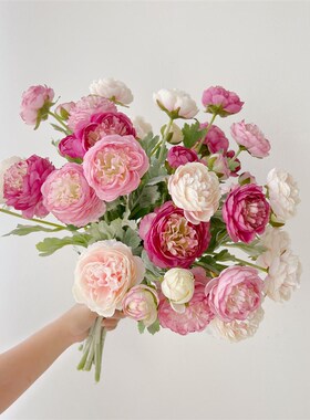 露莲仿真花重瓣花朵单枝粉白色植C绒绢花假花客厅茶几餐桌装饰花