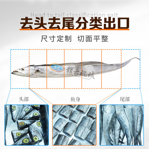 赣云牌全自动带鱼切段机多功能秋刀鱼海带牛肉干分段机输送式切块 - 图1