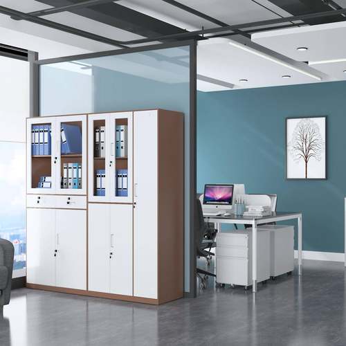 组合文件柜厚多公层带锁办室抽屉式餐厅卡门收纳柜长文件柜条加钢 - 图2