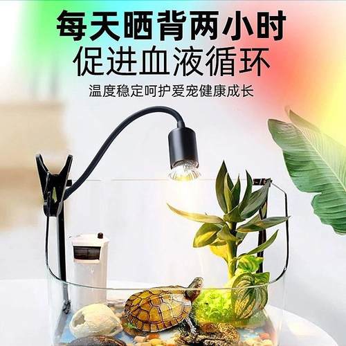 乌龟晒背灯加热保温灯uva+uvb太阳灯爬宠加热龟缸灯保温补钙杀菌 - 图2