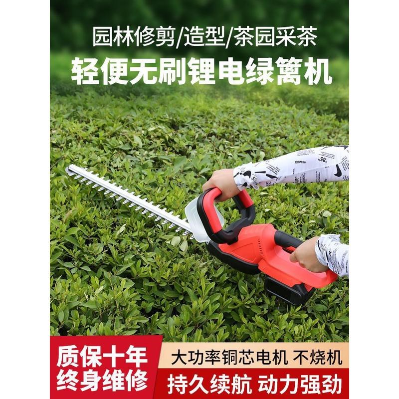 家用无线绿篱剪电动绿篱机充电式修剪机园林花园绿化带茶树修剪机 - 图2