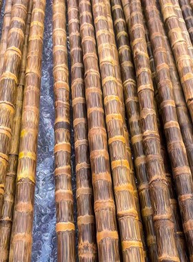 龙血金丝竹密节纯手工打磨实心武术竹棍棕竹教鞭手杖登山杖手拐杖