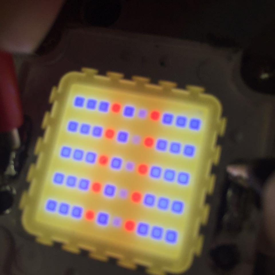 现货全光谱灯珠 30w 50W 70W水族灯光源 AT3光源 cob灯珠 - 图2