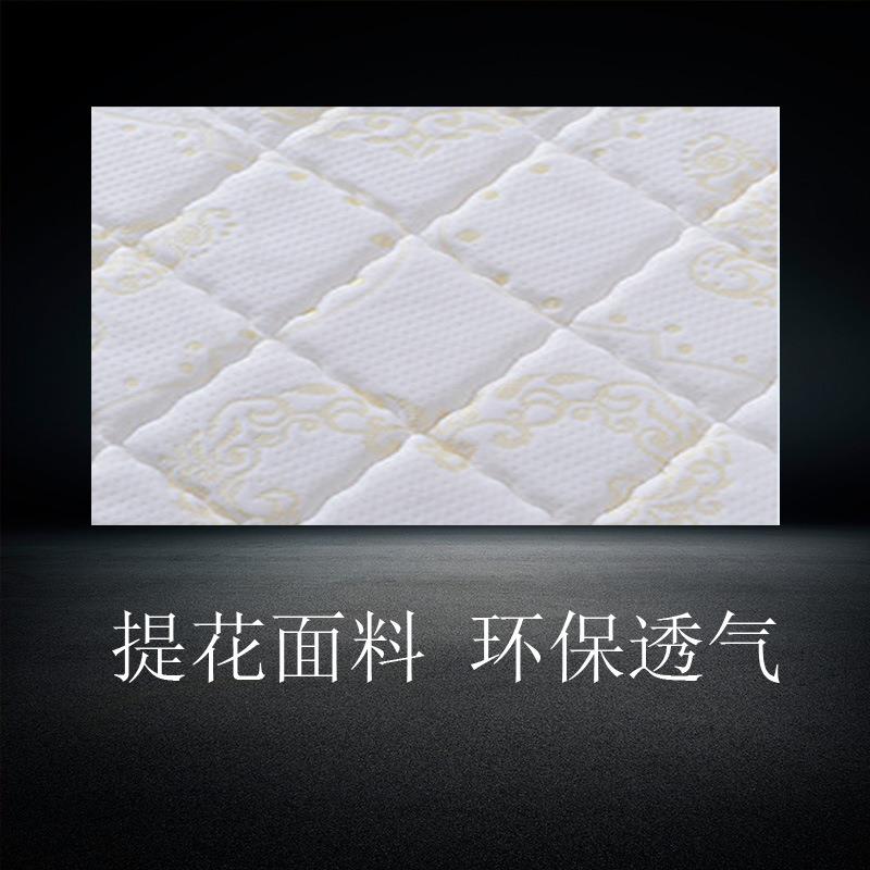 儿童天然椰棕床垫棕垫硬棕榈垫偏硬1.8m1.5米折叠床垫支持可 - 图2