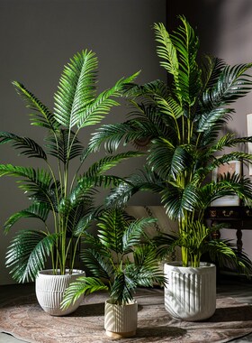 仿真禄植散尾葵客厅高端植物盆栽造景假树热带仿生绿植装饰花摆件
