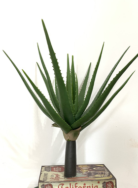 仿真植物假芦荟盆栽盆景室内w外客厅桌面多肉小绿植摆件橱窗装饰
