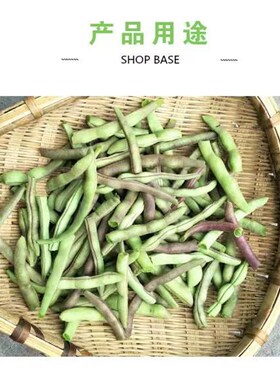 竹编筲箕簸箕竹筛竹m制品淘米洗菜沥水晾晒收纳篮子火锅店饭店家