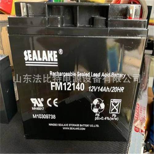 SEALAKE蓄电池FM12170应急电源12V17Ah质保1年海湖免维护电池 - 图1